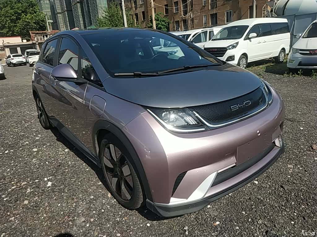 BYD Dolphin, 2022 4