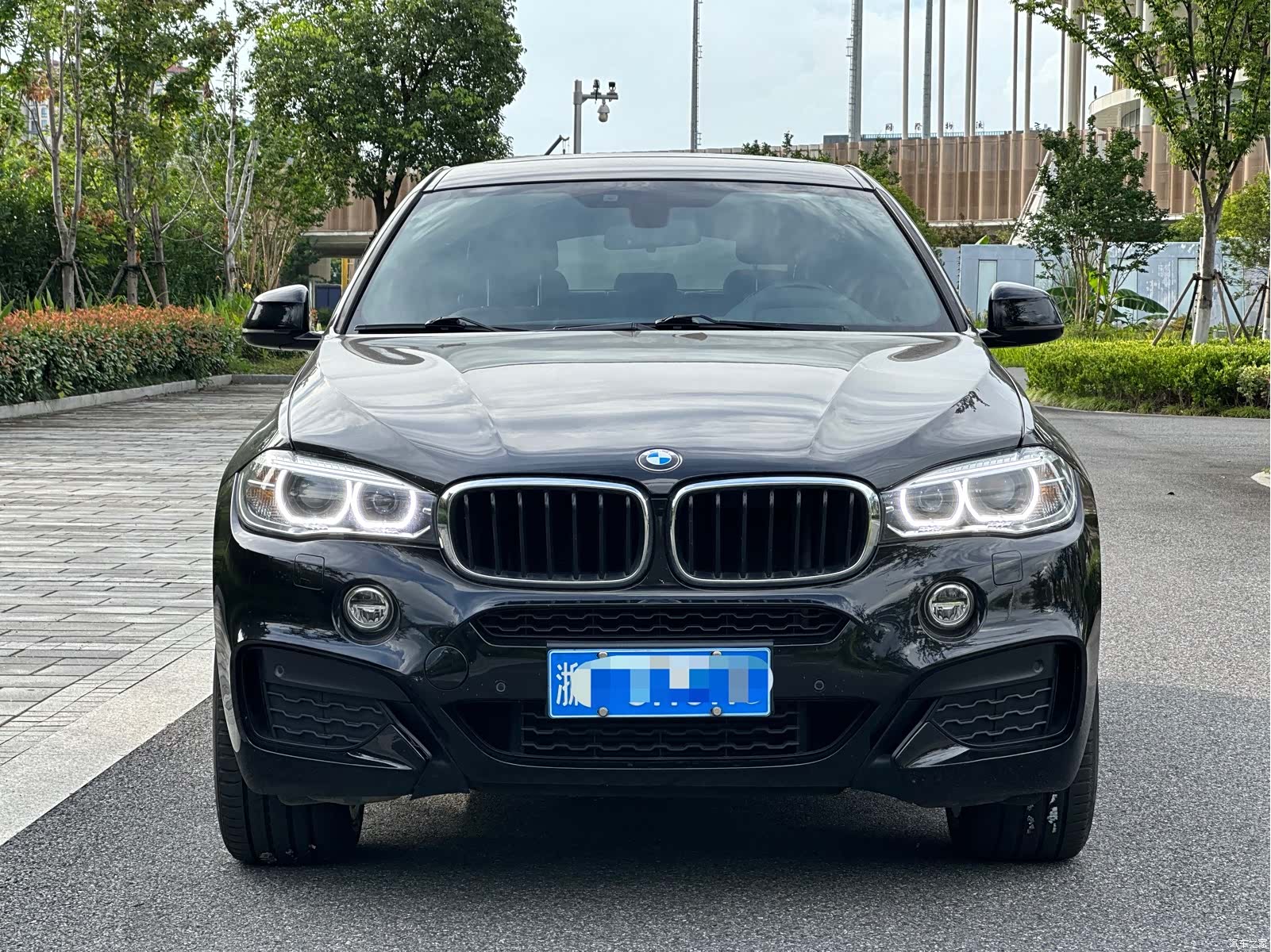 BMW X6, 2019 2