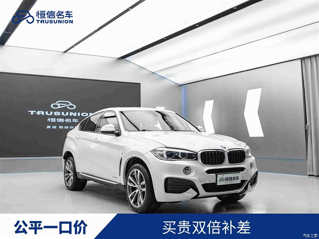 BMW X6, 2019 1