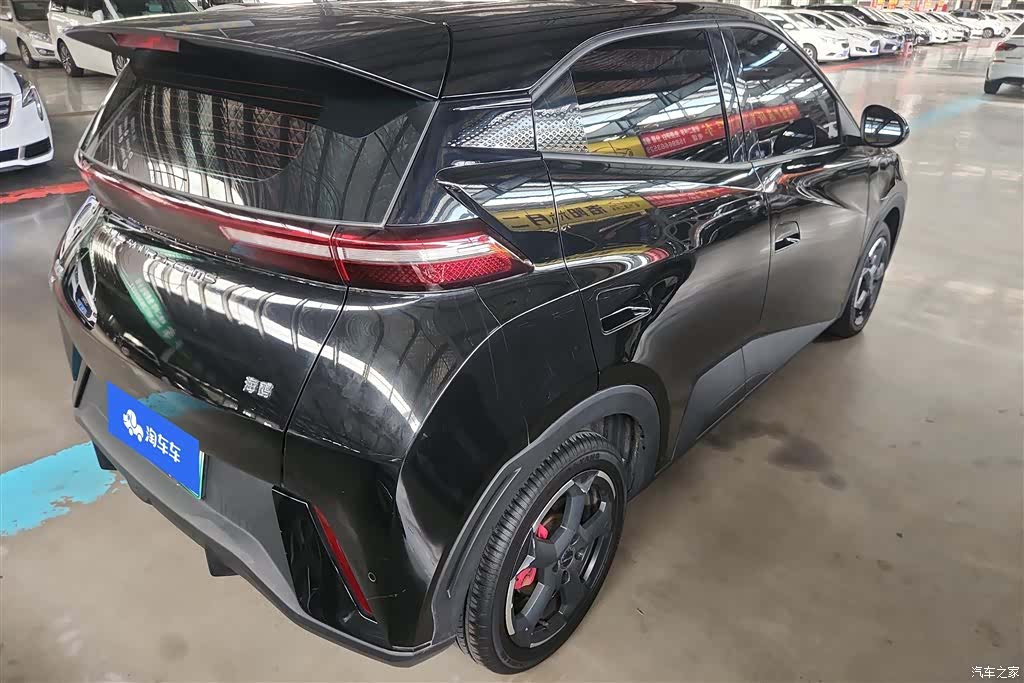 BYD Seagull, 2024 3