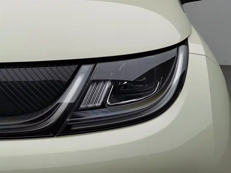 BYD dolphin