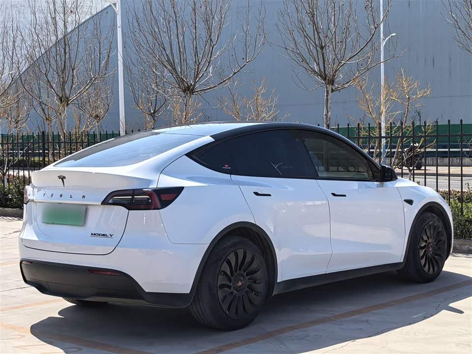 Tesla Model Y Tesla Model Y