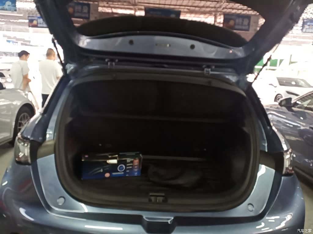 BYD Dolphin, 2024 19