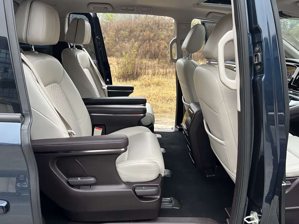 Trumpchi Trumpchi M8