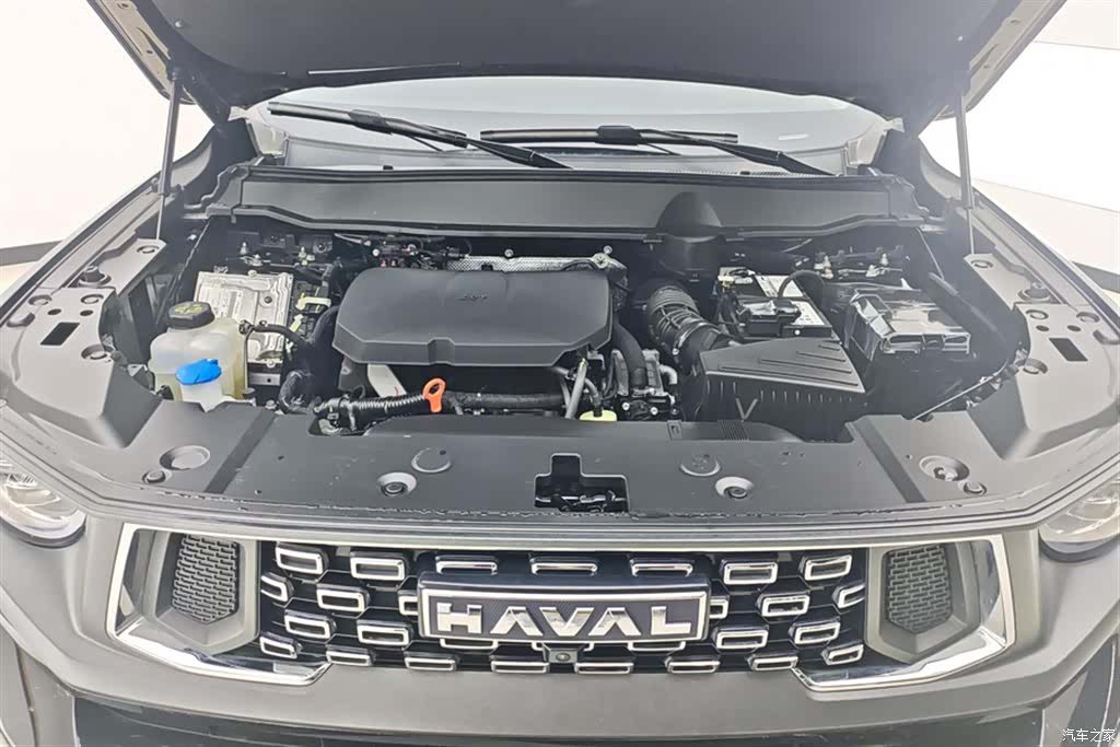 Haval Big Dog, 2025 10