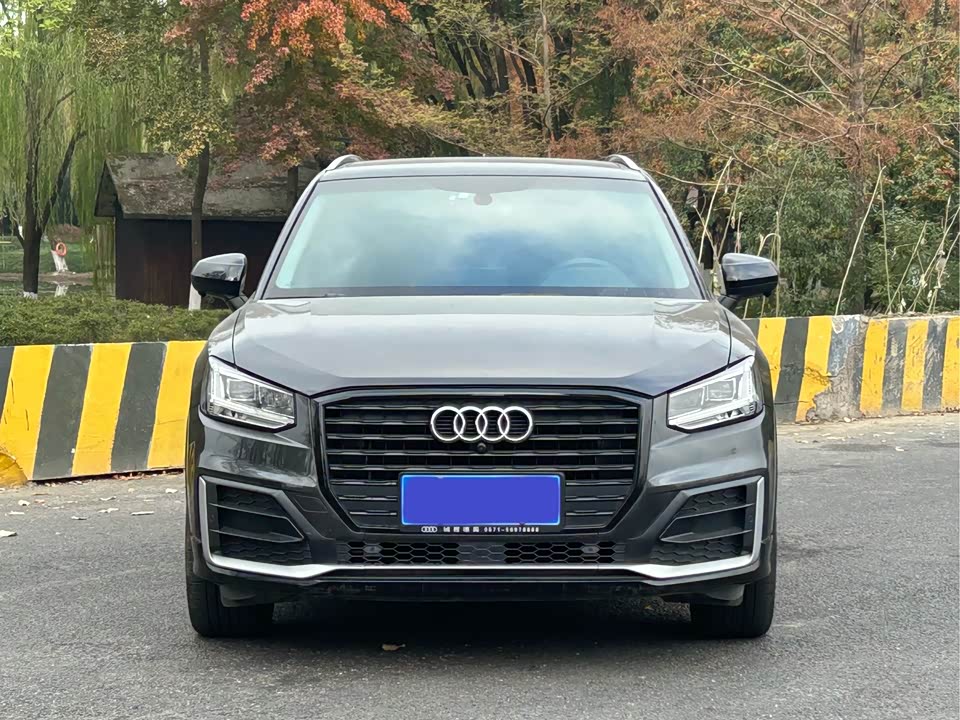Audi Q2L
