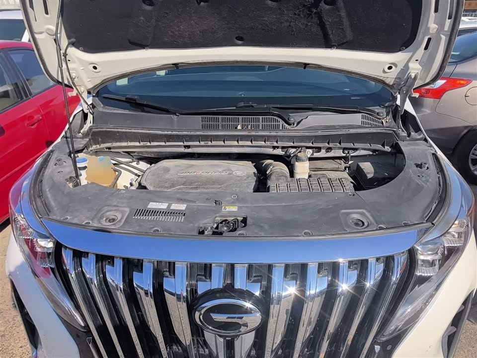 Trumpchi Trumpchi M8