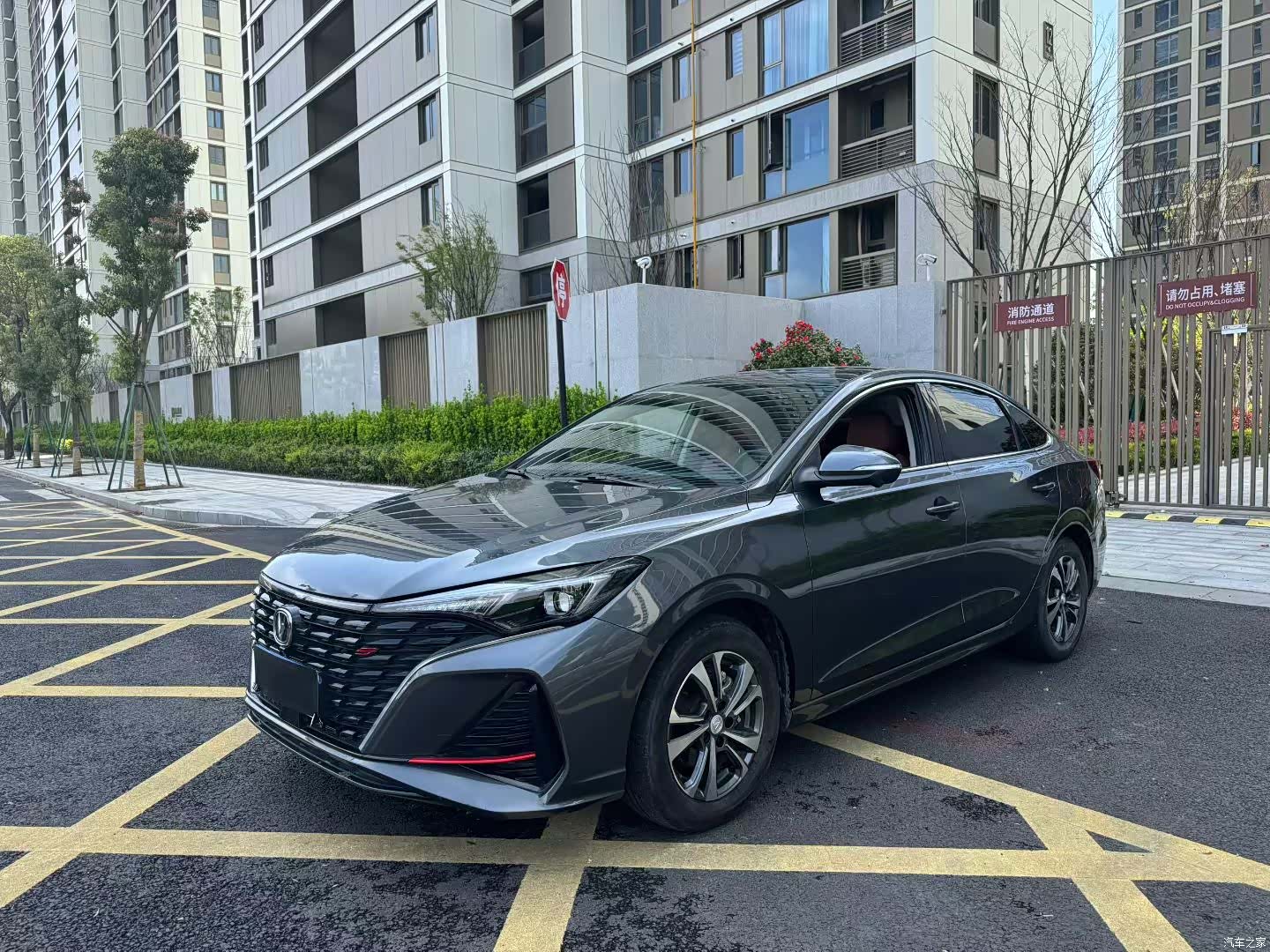 Changan Eado, 2025 1