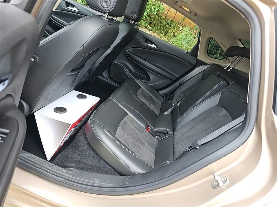 Buick Weilang