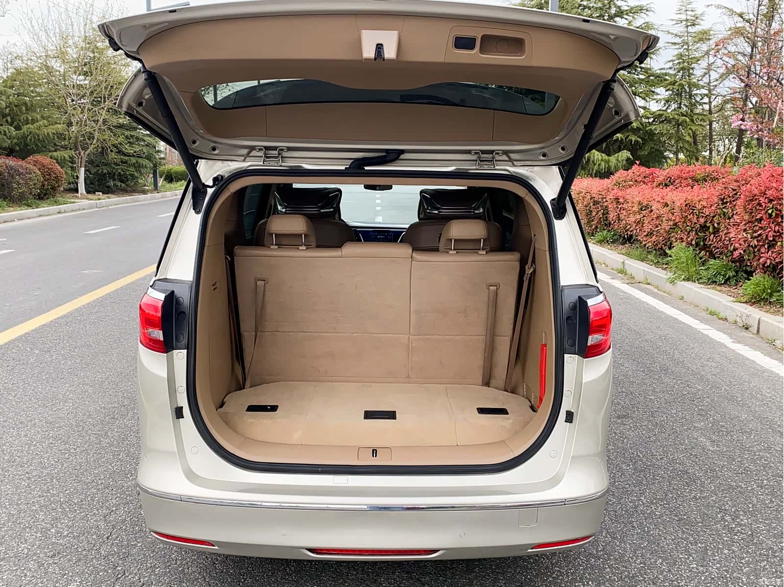 Buick GL8, 2018 24