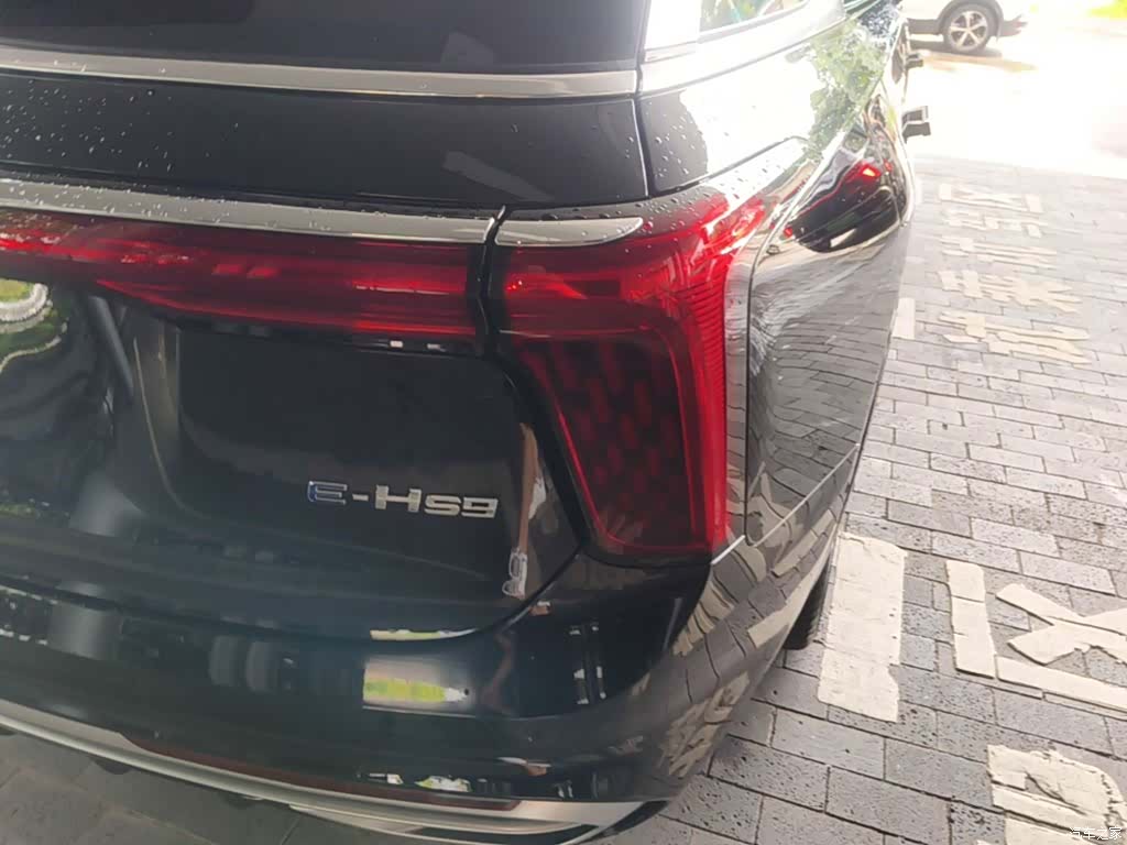 Hongqi E-HS9, 2023 8