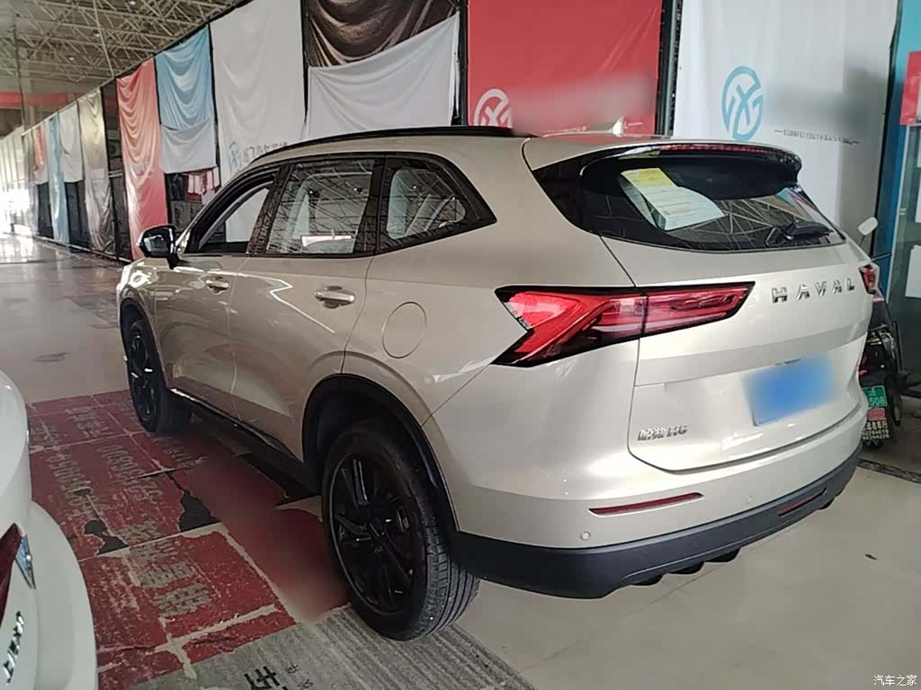Haval H6, 2024 все фото