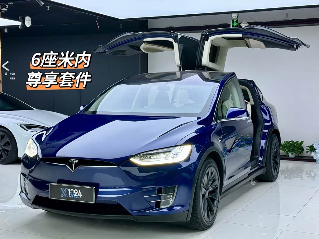 Tesla Model X 2017 Model X 100D