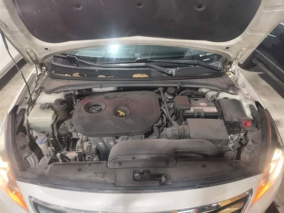 Hyundai Name picture