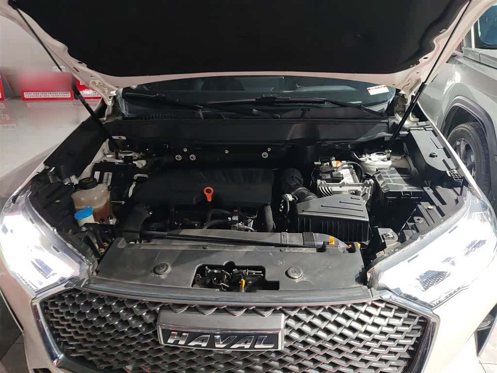 Haval H6, 2020 20