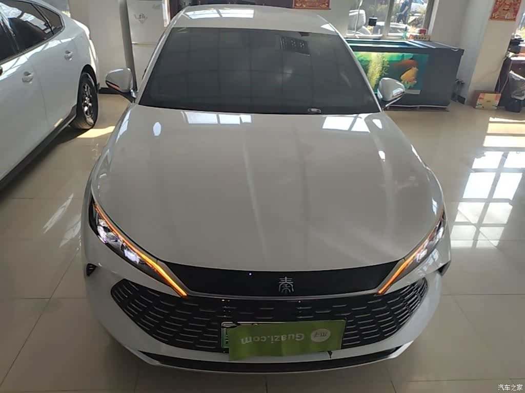 BYD Qin, 2024 3