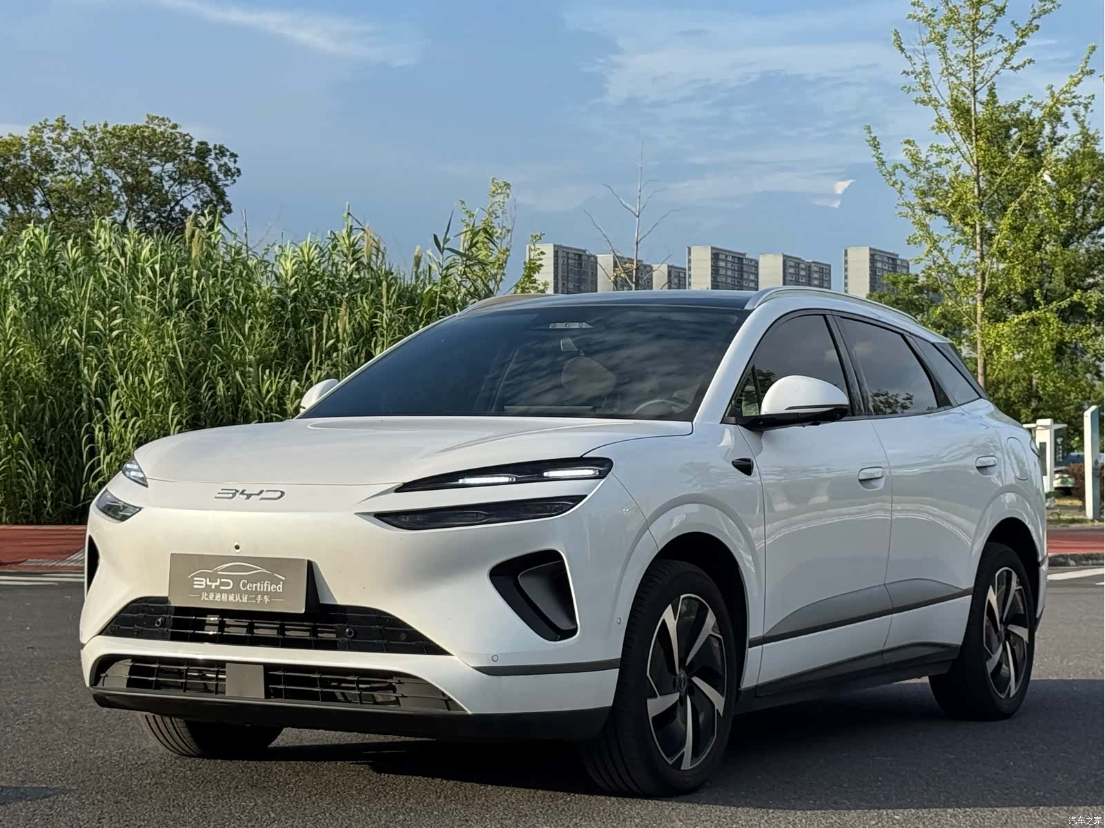 BYD HiAce, 2025 1