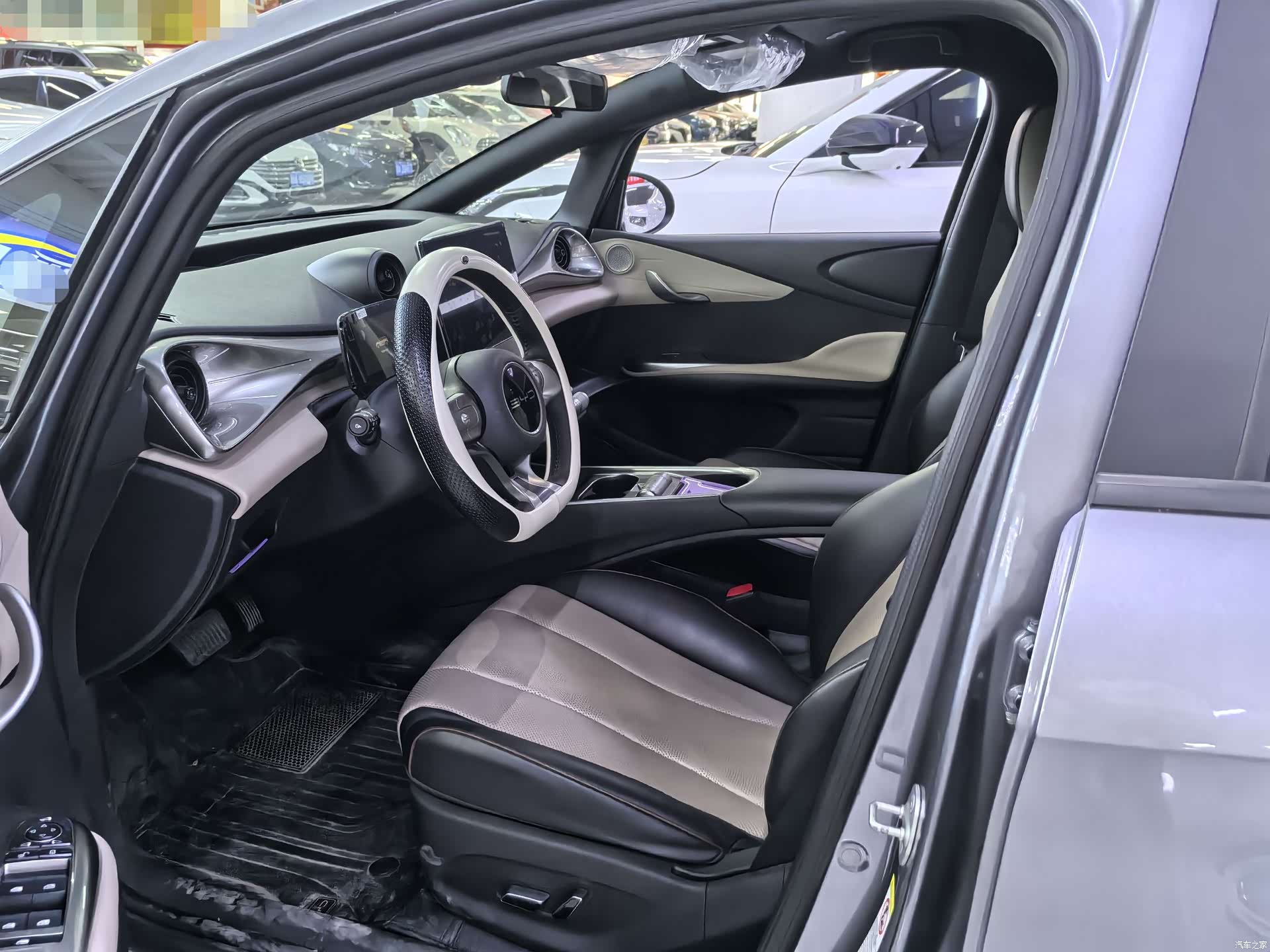 BYD Dolphin, 2023 7