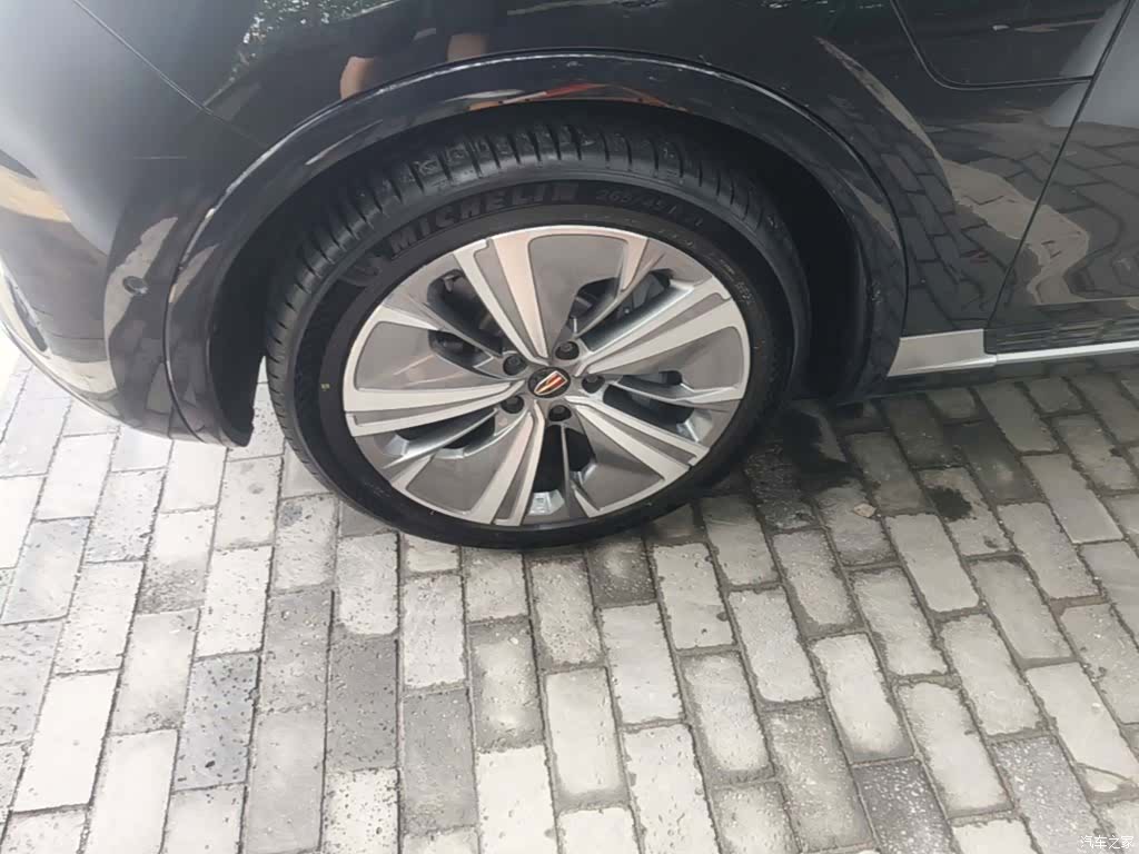 Hongqi E-HS9, 2023 23