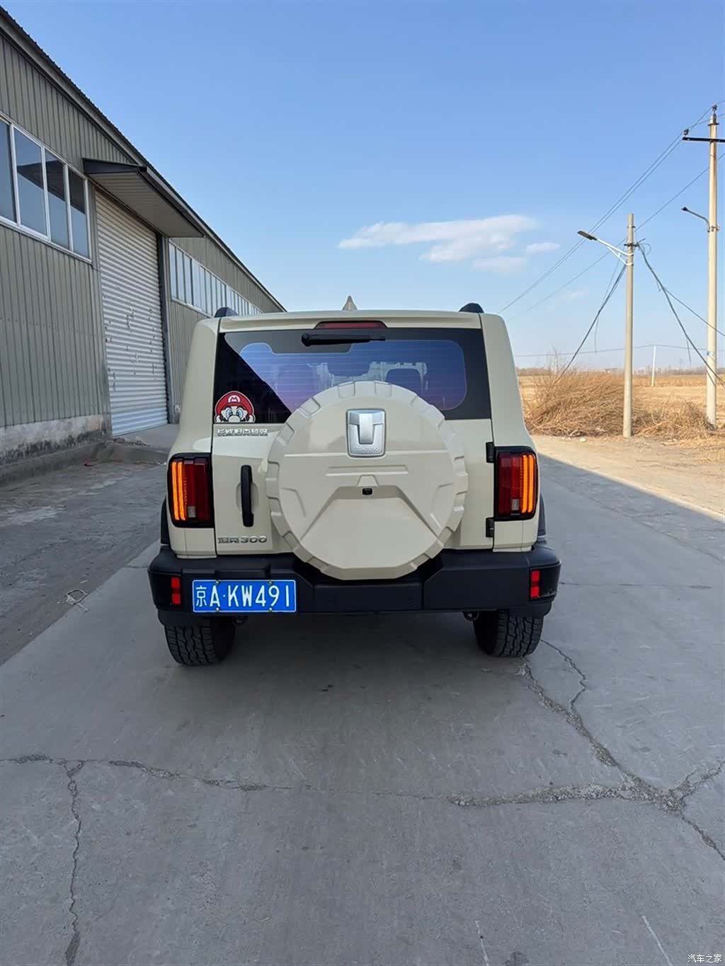 Tank 300, 2025 все фото