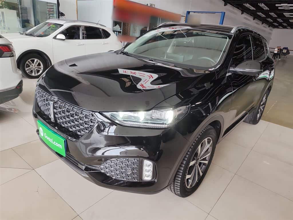 Wey VV6