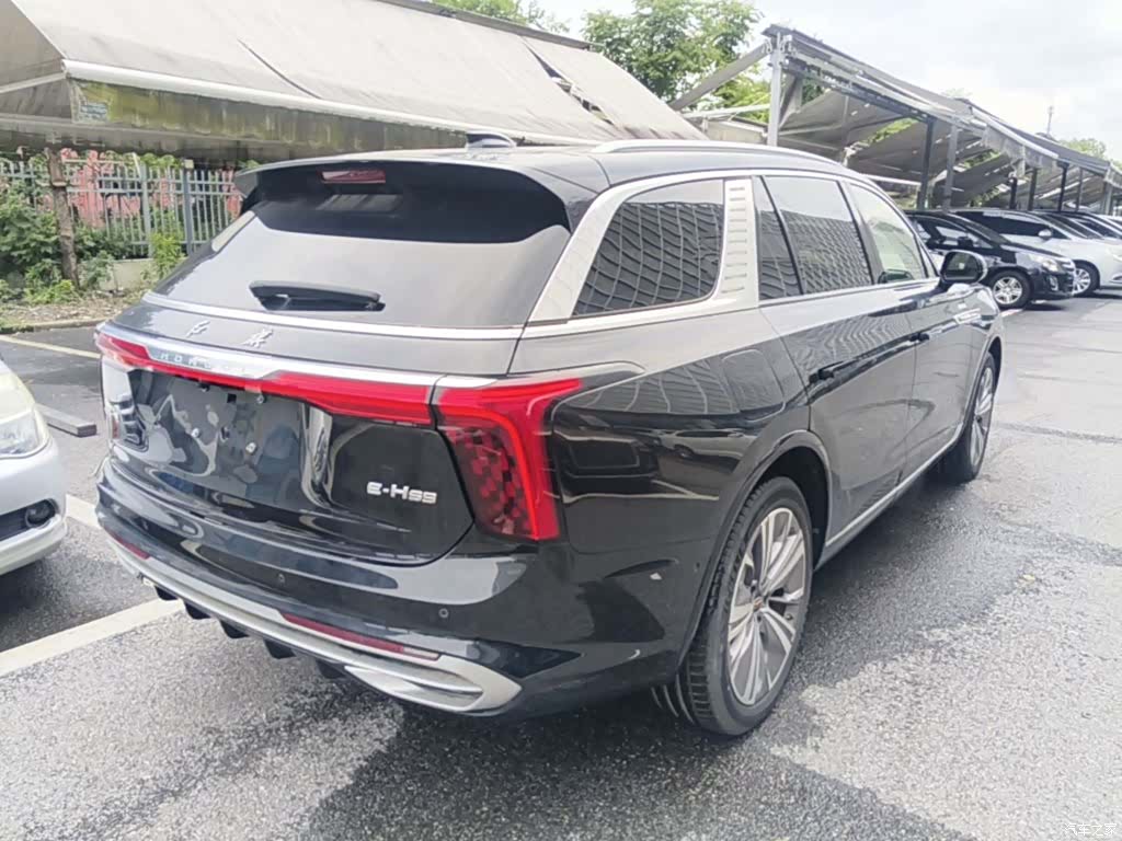 Hongqi E-HS9, 2023 7