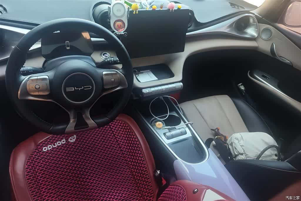 BYD Dolphin, 2023 12