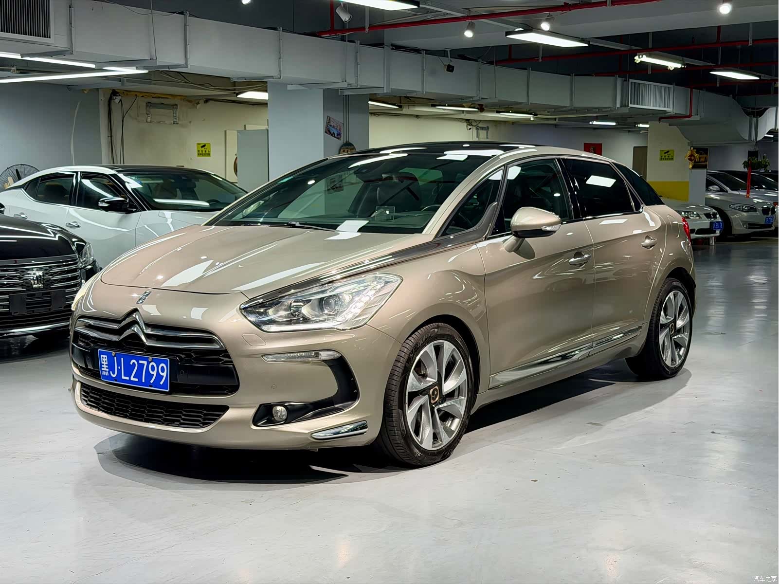 DS 5, 2014 1