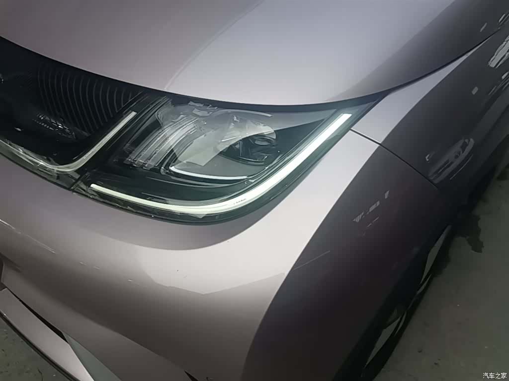 BYD Dolphin, 2023 24