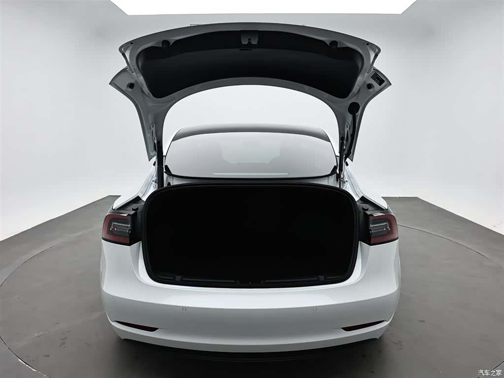 Tesla Model 3, 2021 8
