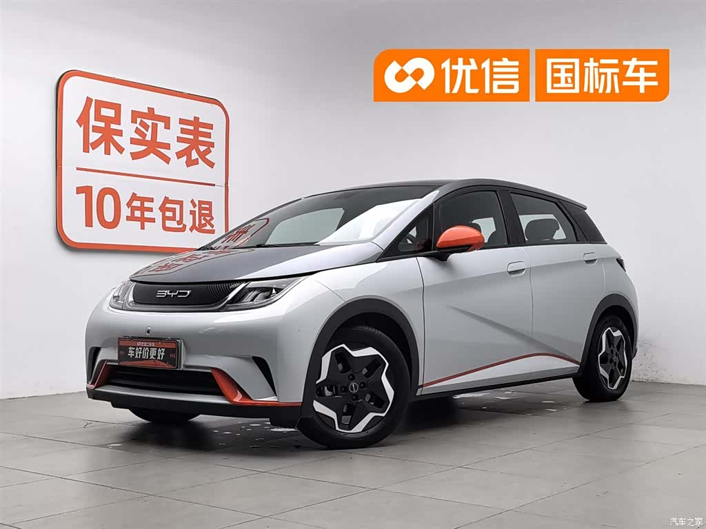 BYD Dolphin, 2022 1