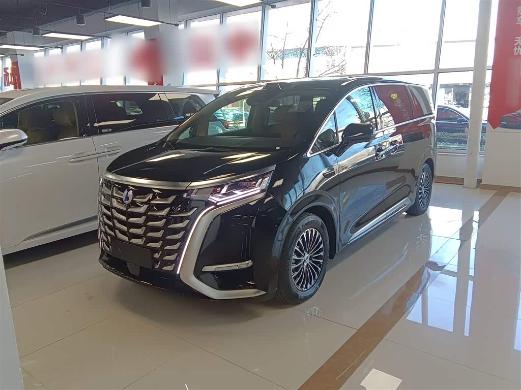 Denza D9