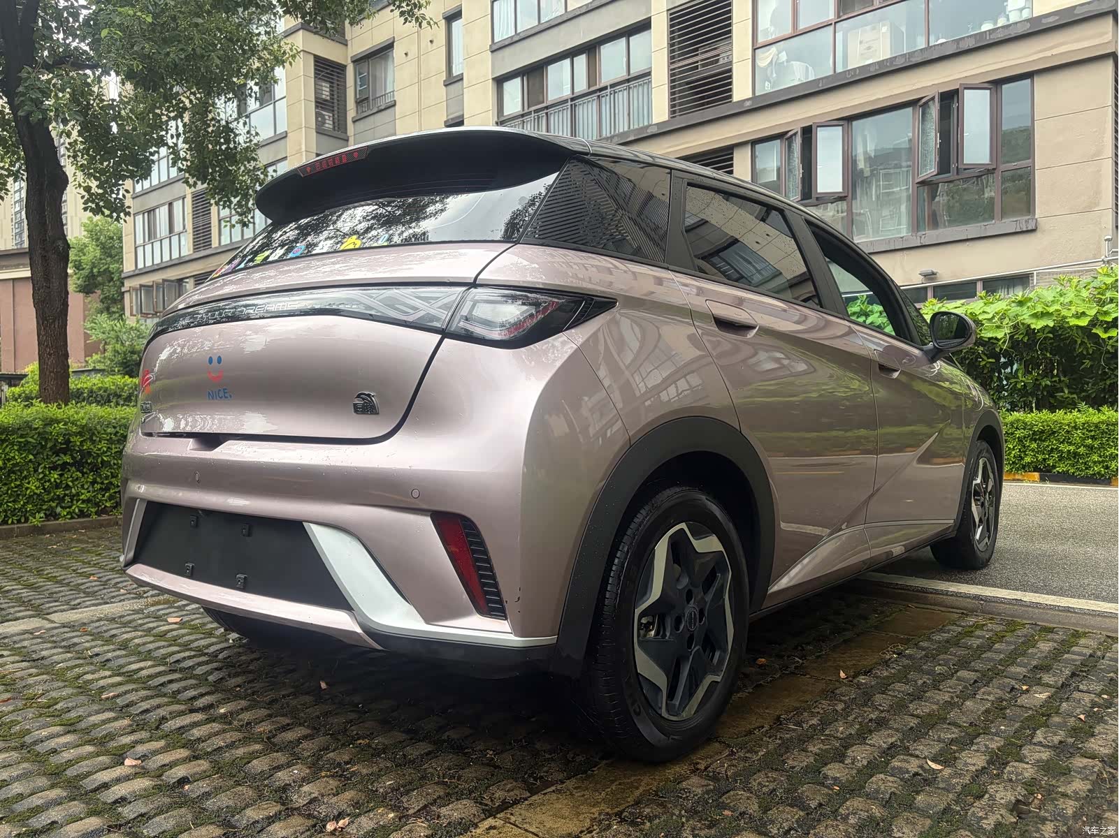 BYD Dolphin, 2021 7