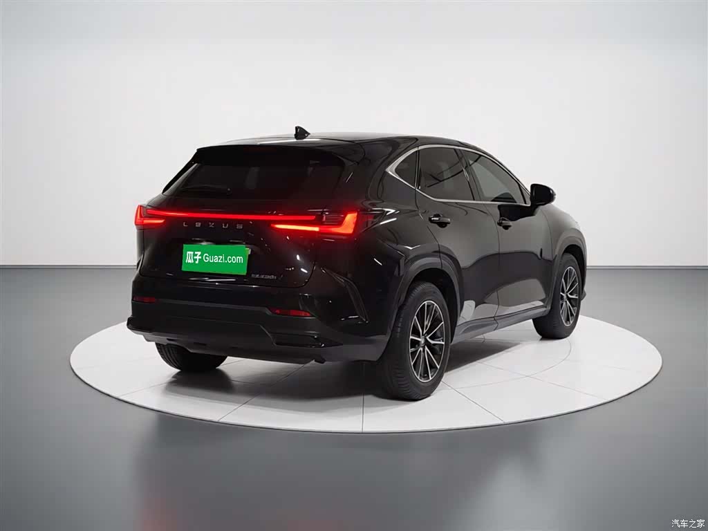 Lexus NX, 2023 4