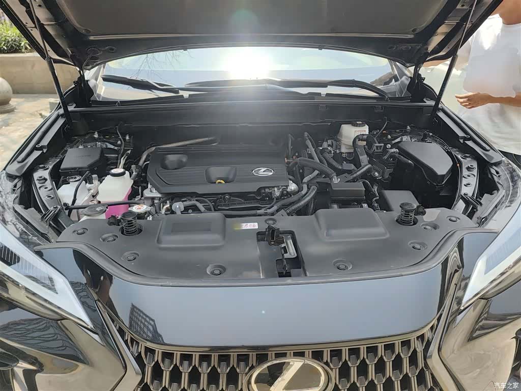 Lexus NX, 2023 16