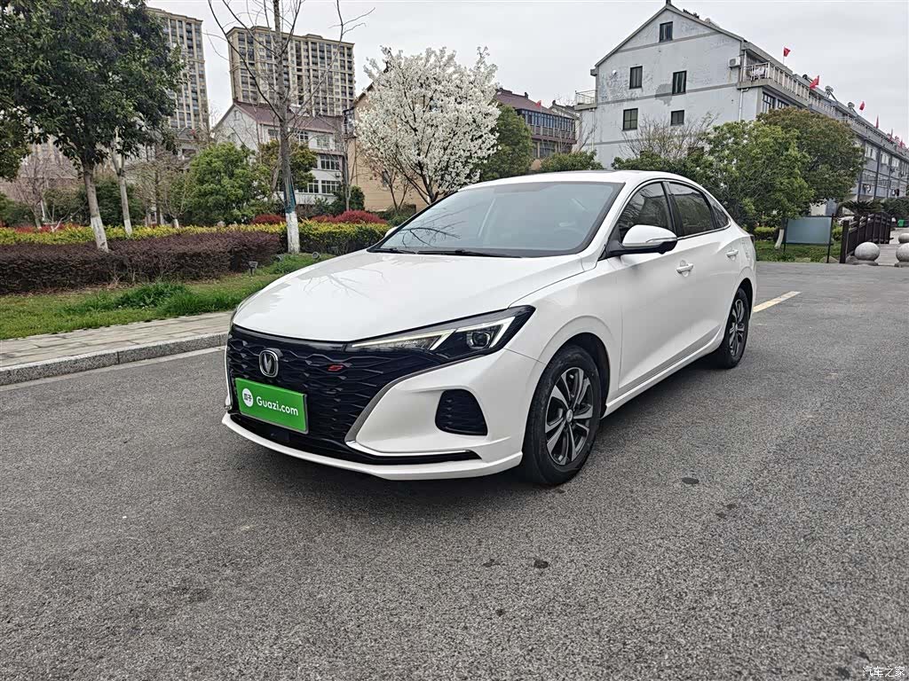 Changan Eado, 2022 1