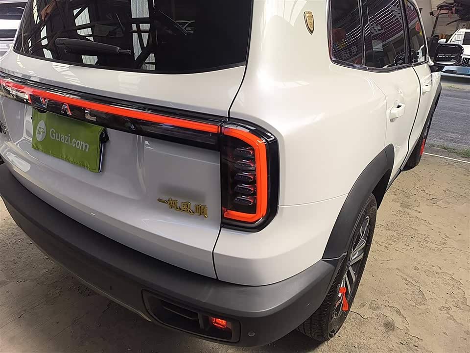 Haval Big dog