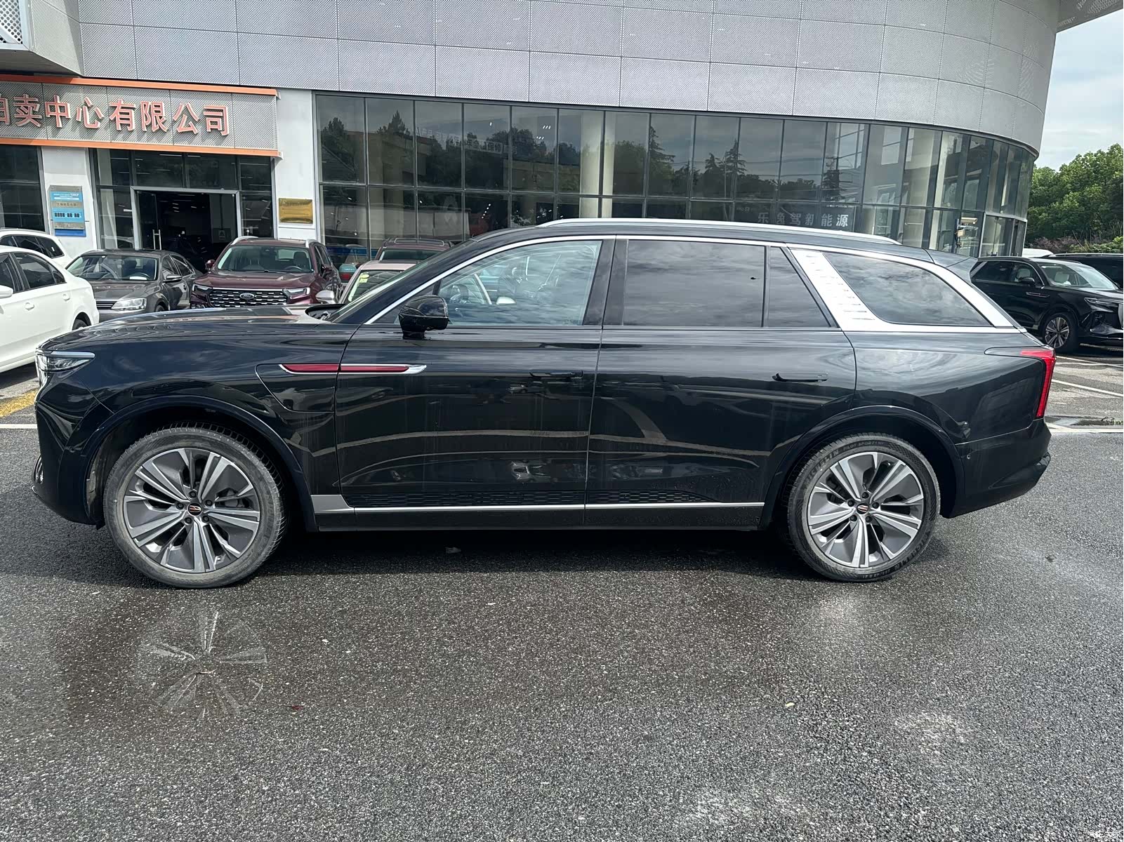 Hongqi E-HS9, 2023 3