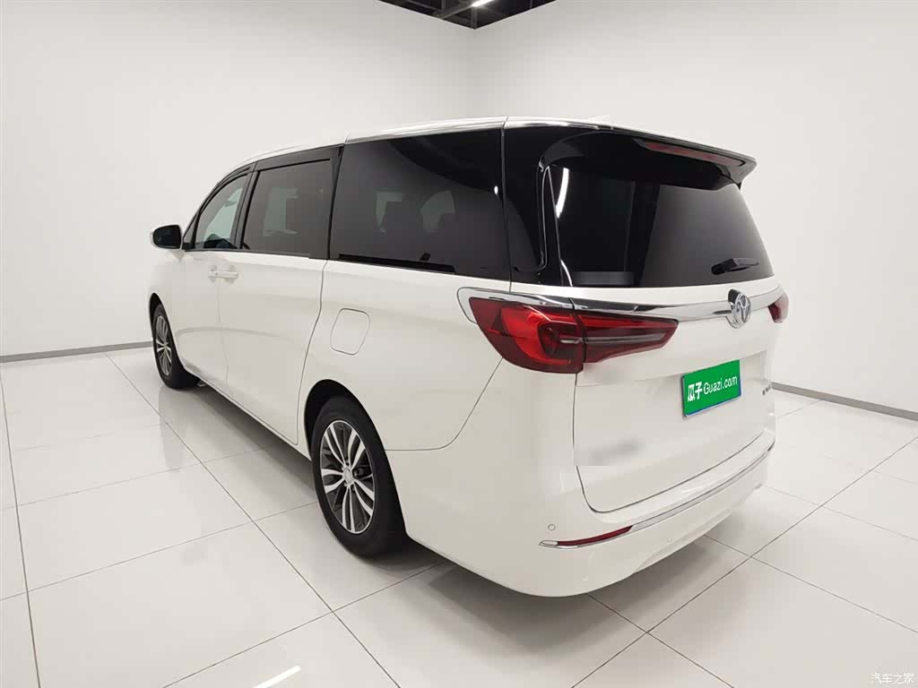Buick GL8, 2021 все фото