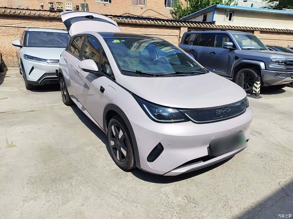 BYD Dolphin, 2025 4