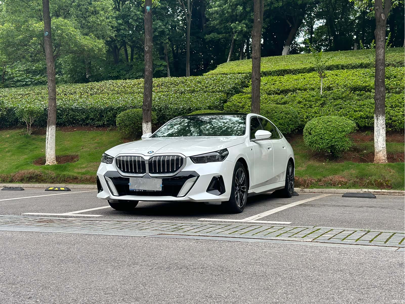 BMW 5 Series, 2024 2