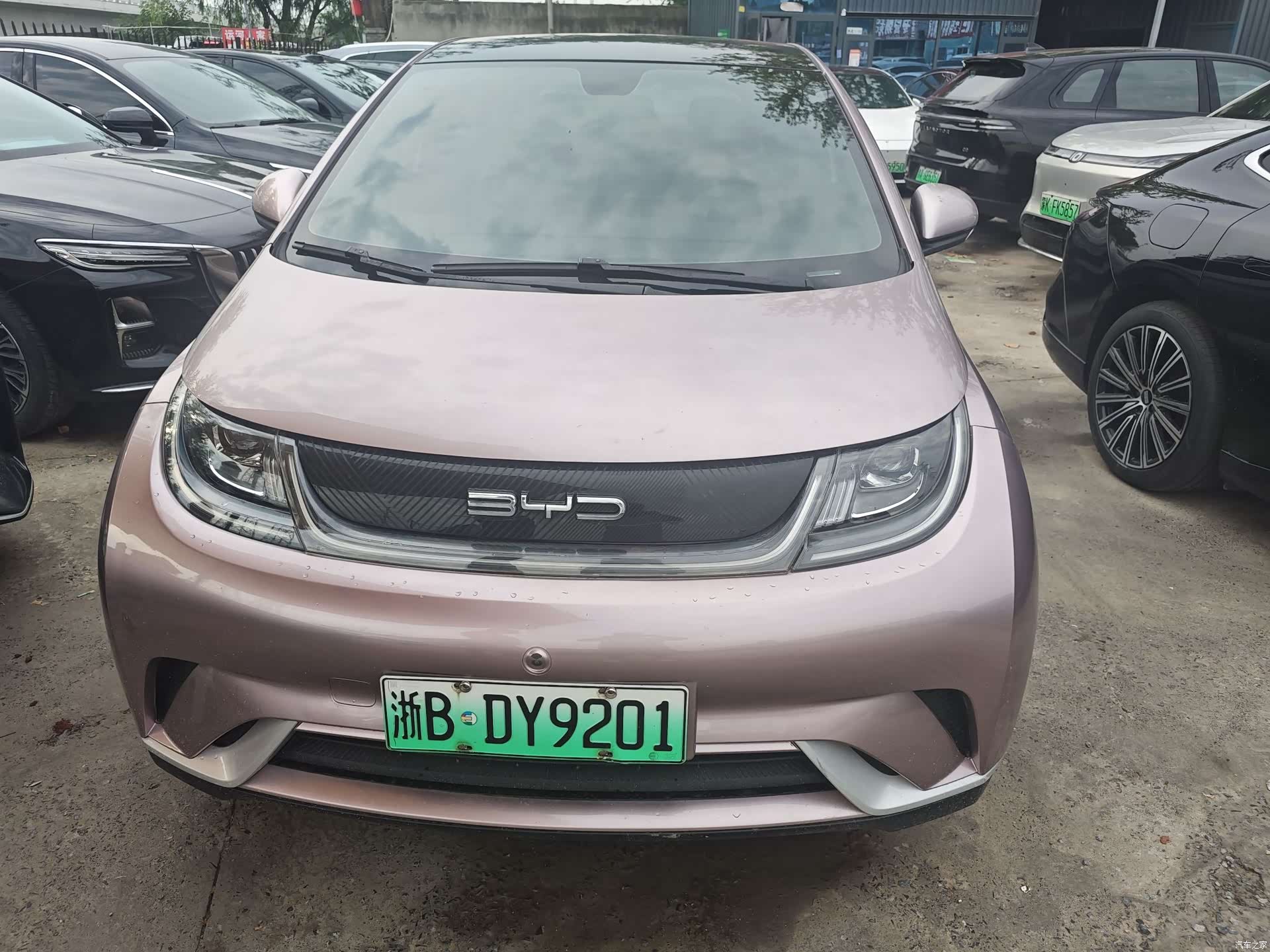 BYD Dolphin, 2022 2