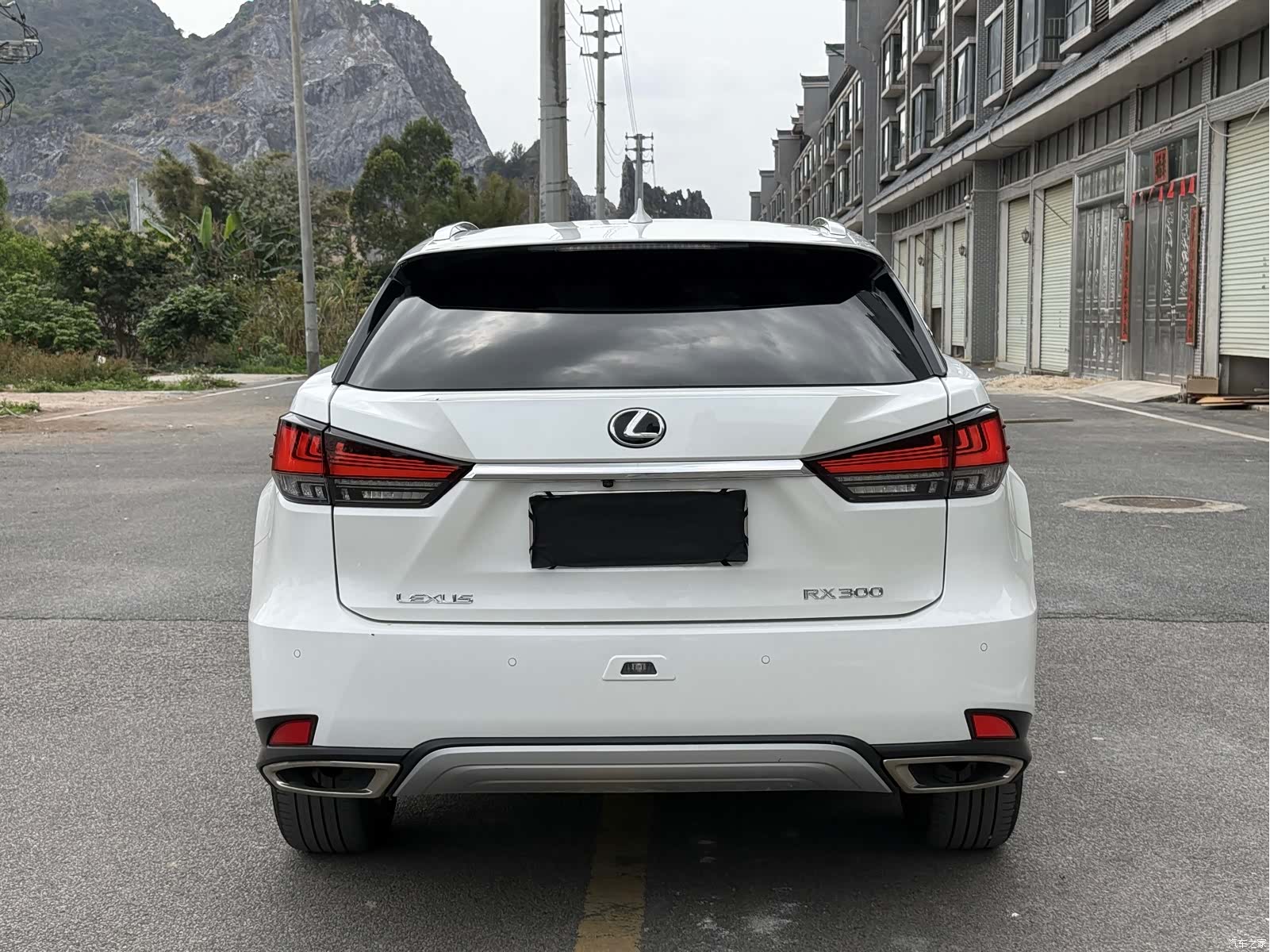 Lexus RX, 2020 21