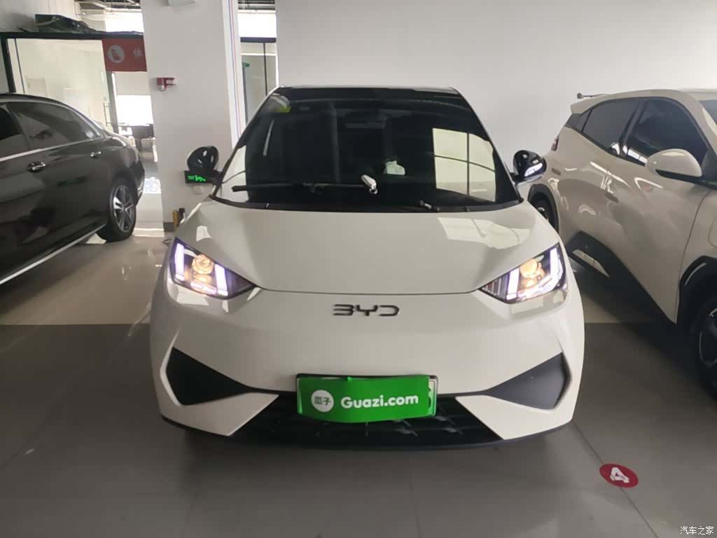 BYD Seagull, 2025 3