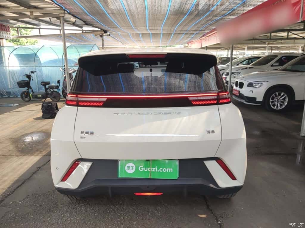 BYD Seagull, 2024 6