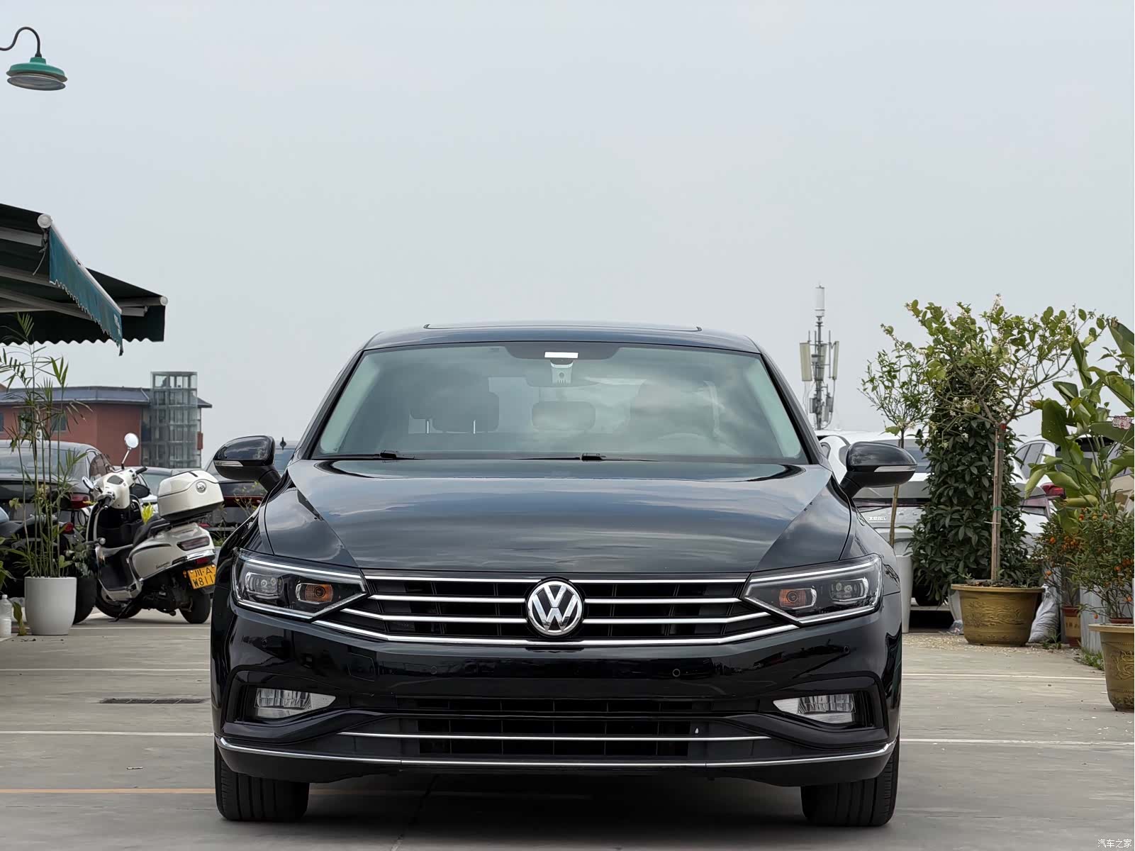 Volkswagen Magotan, 2020 2