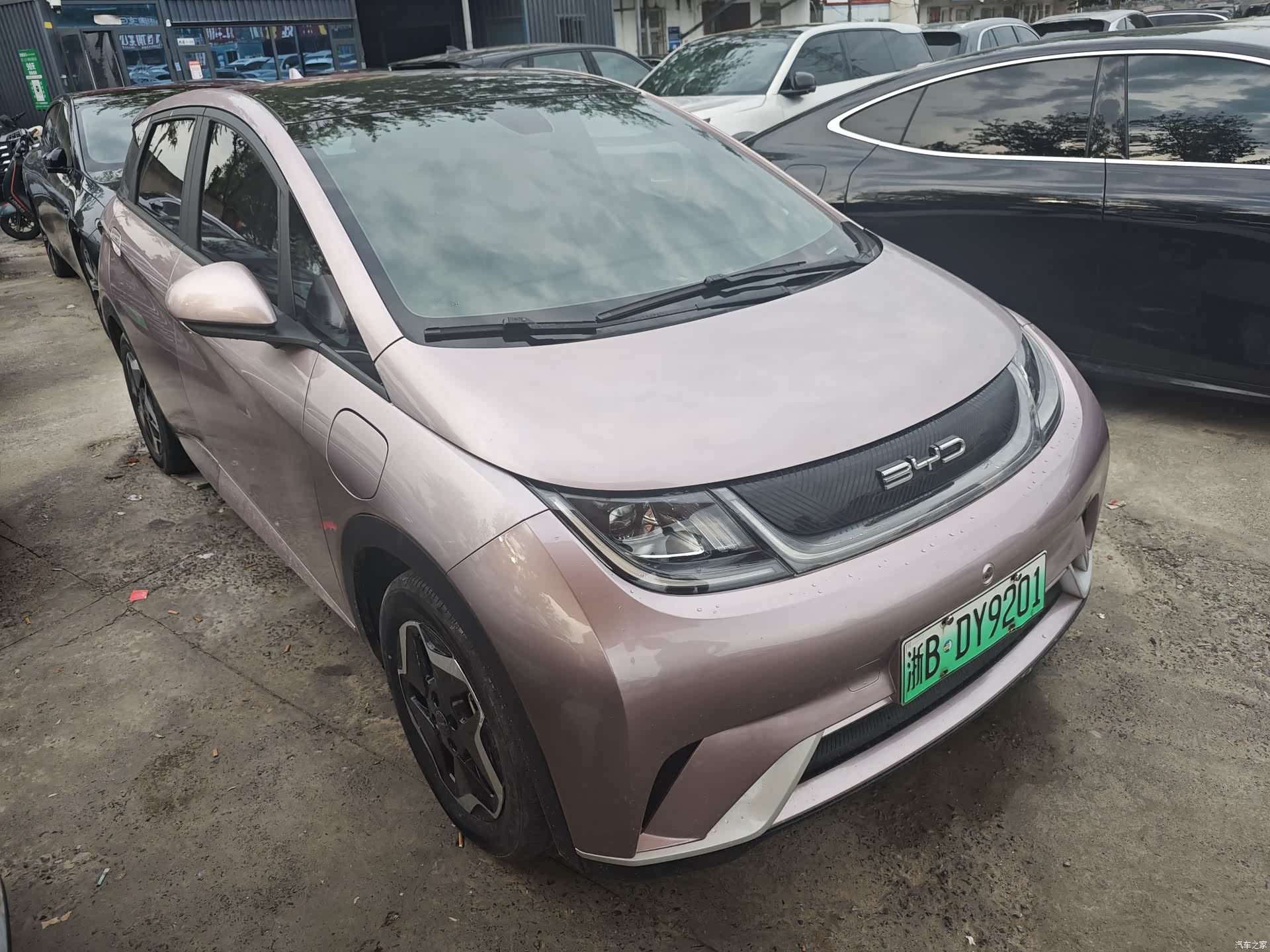 BYD Dolphin, 2022 3