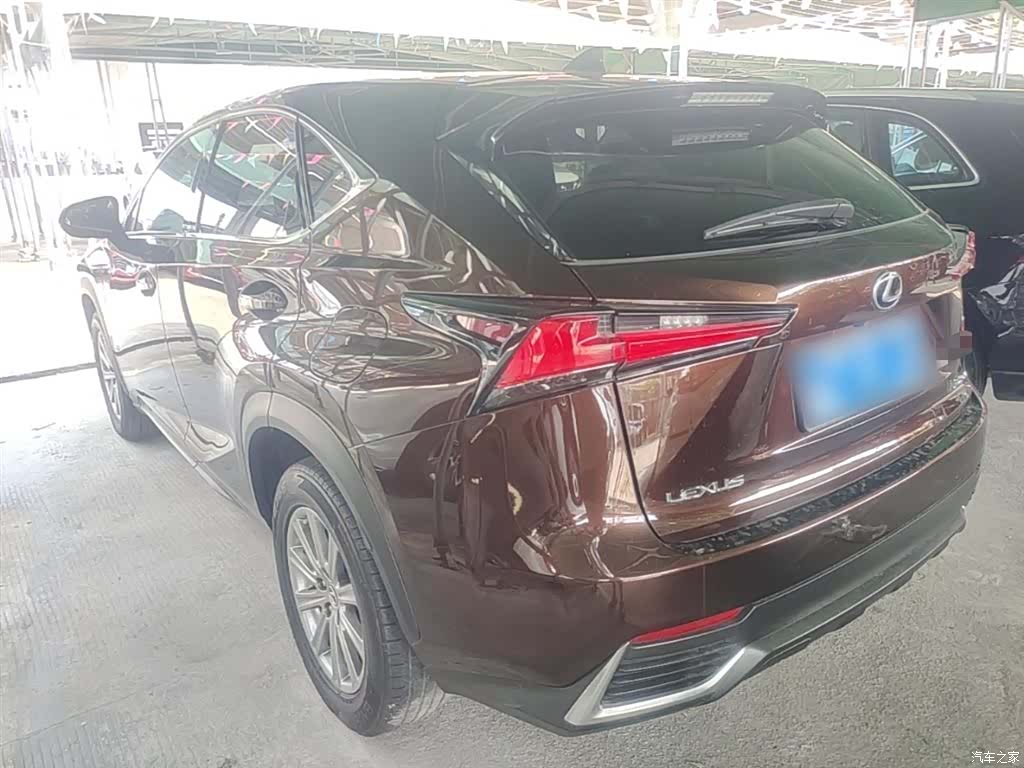 Lexus NX, 2018 все фото