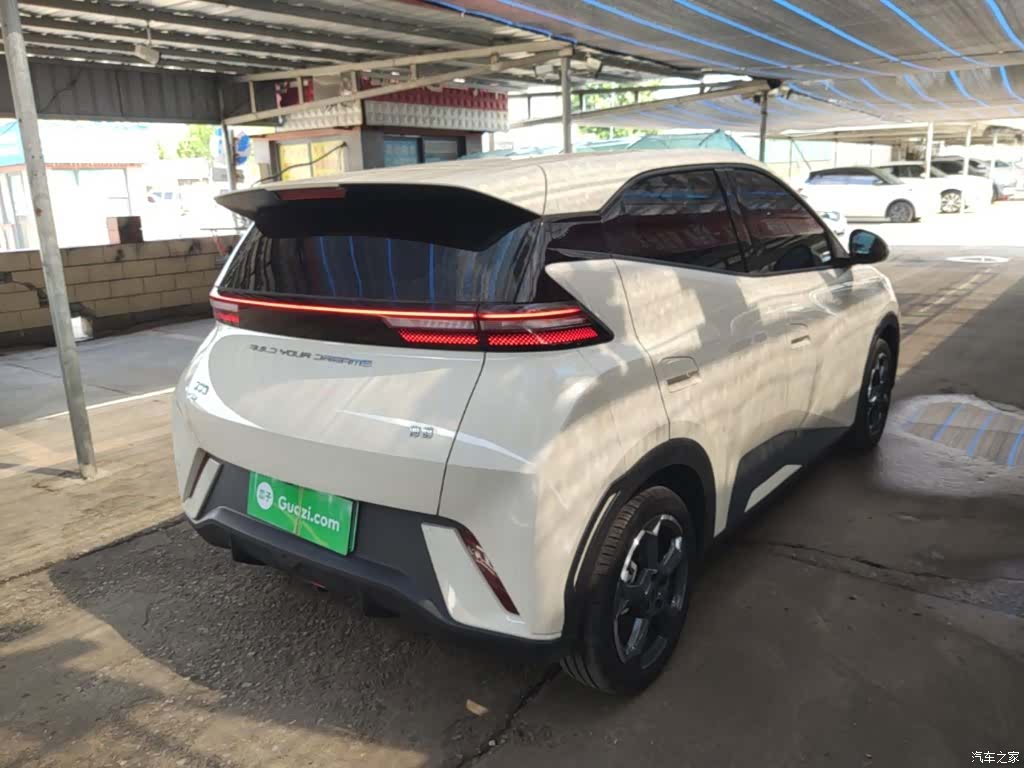 BYD Seagull, 2024 7