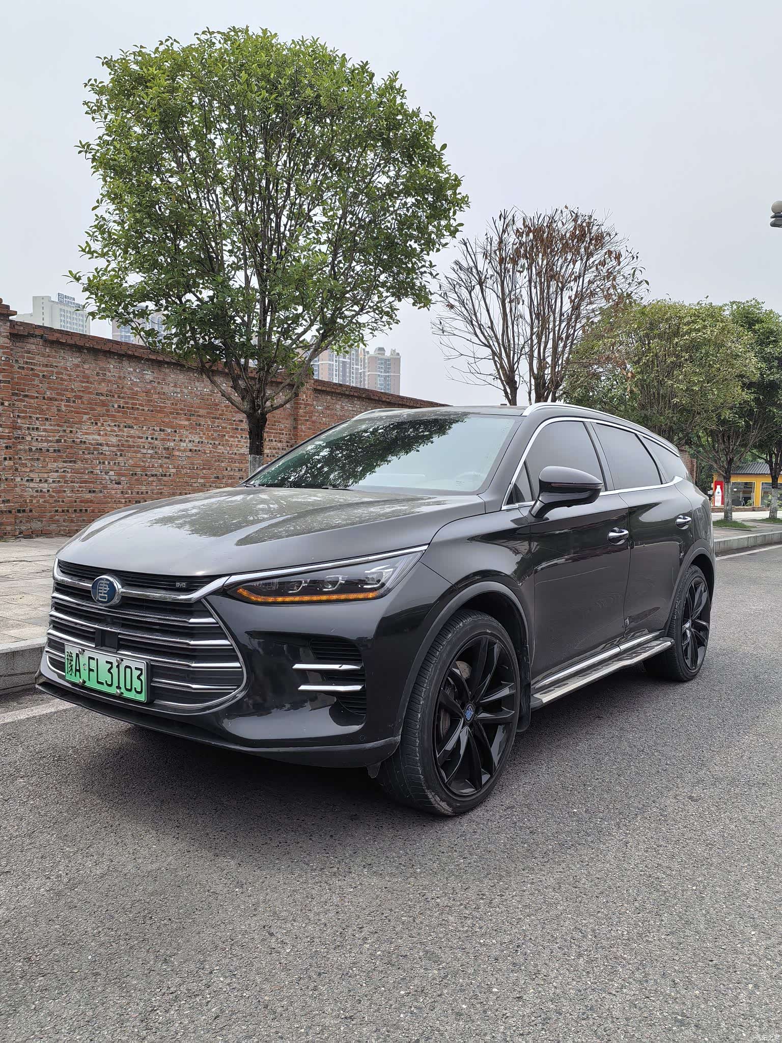 BYD Tang